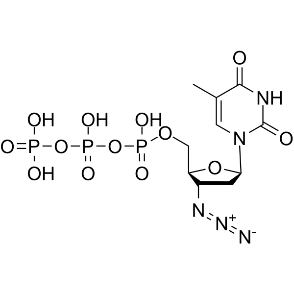 AZT triphosphate 92586-35-1